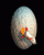 /album/planety/planety-038-gif/